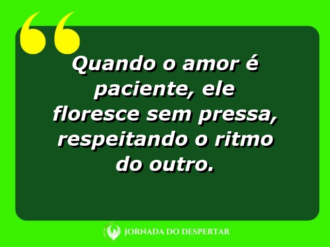 Afirmações sobre a calma no amor: Quando o amor é paciente, ele floresce sem pressa, respeitando o ritmo do outro.