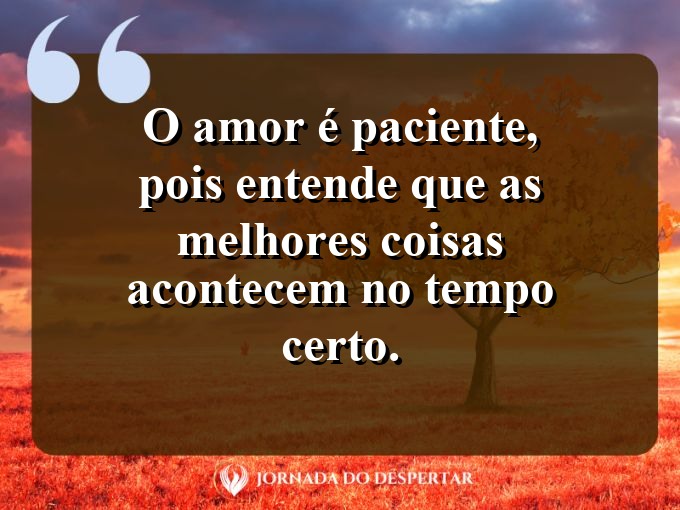 Citações sobre a paciência no amor: O amor é paciente, pois entende que as melhores coisas acontecem no tempo certo.