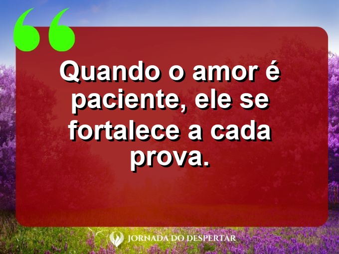 Expressões sobre o amor e a paciência: Quando o amor é paciente, ele se fortalece a cada prova.