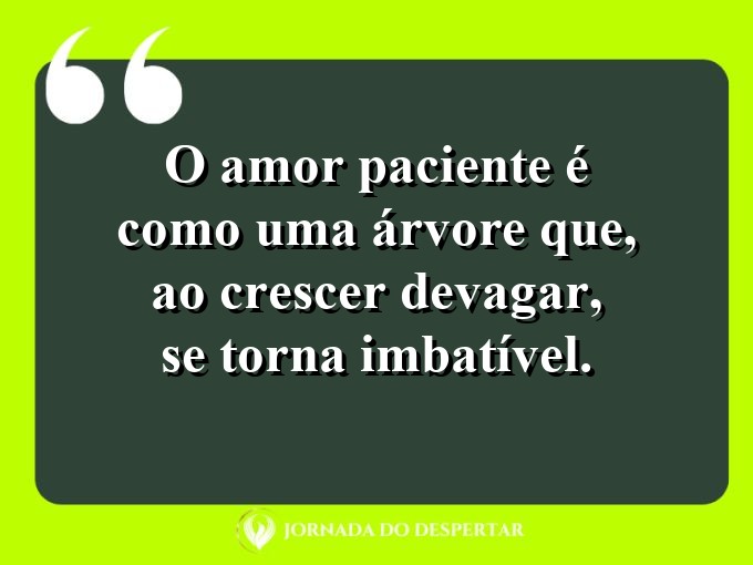 Expressões sobre o amor e a paciência: O amor paciente é como uma árvore que, ao crescer devagar, se torna imbatível.