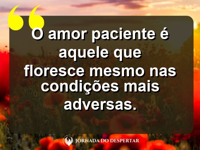 Frases inspiradoras sobre a paciência no amor: O amor paciente é aquele que floresce mesmo nas condições mais adversas.