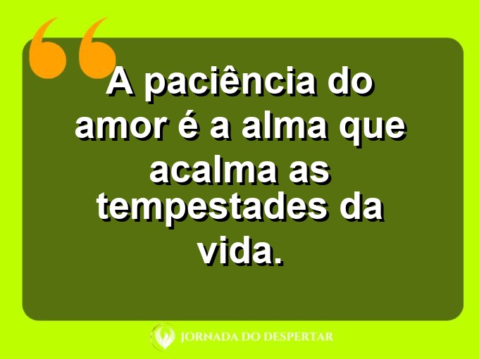 Mensagens sobre a paciência no relacionamento: A paciência do amor é a alma que acalma as tempestades da vida.