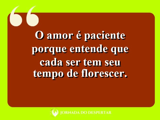 Mensagens sobre a paciência no relacionamento: O amor é paciente porque entende que cada ser tem seu tempo de florescer.