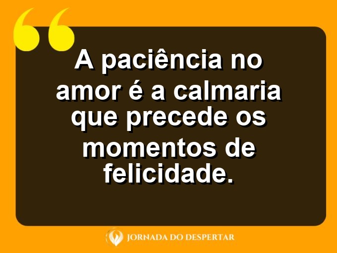 Palavras sobre o poder da paciência no amor: A paciência no amor é a calmaria que precede os momentos de felicidade.