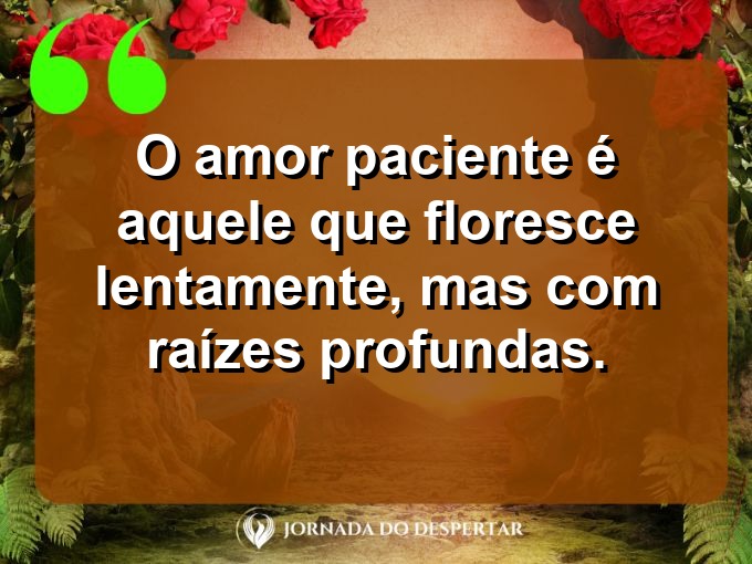 Palavras sobre o poder da paciência no amor: O amor paciente é aquele que floresce lentamente, mas com raízes profundas.