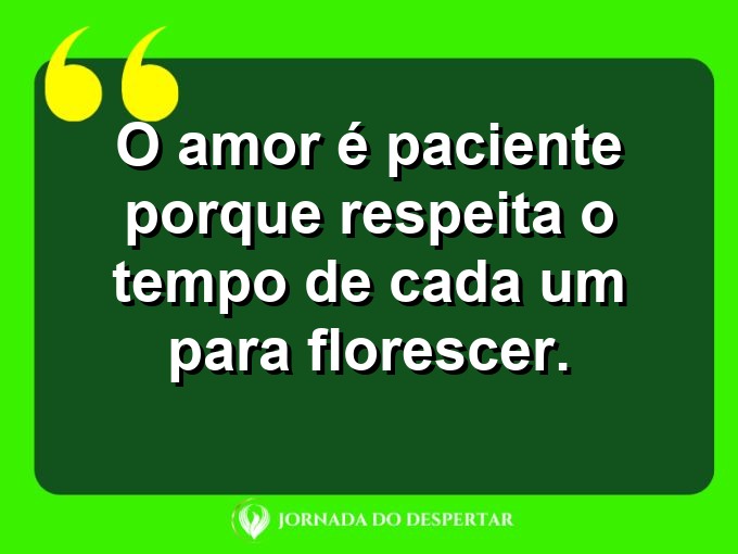 Pensamentos sobre a paciência no amor: O amor é paciente porque respeita o tempo de cada um para florescer.