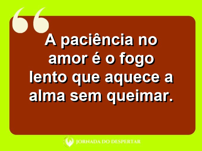 Provérbios sobre a paciência no amor: A paciência no amor é o fogo lento que aquece a alma sem queimar.