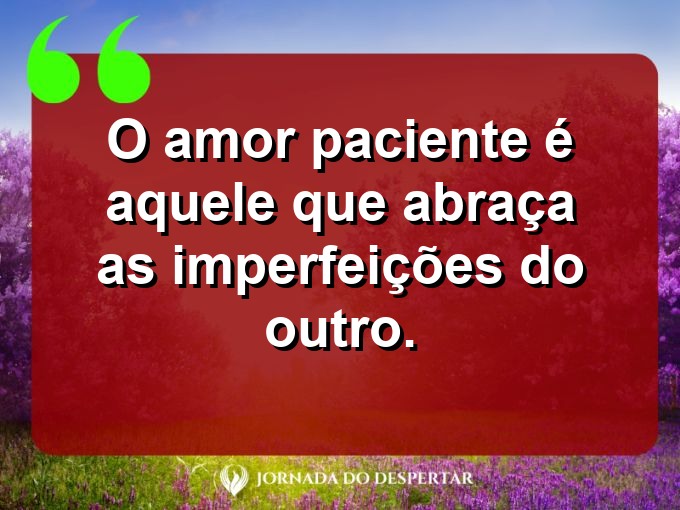 Provérbios sobre a paciência no amor: O amor paciente é aquele que abraça as imperfeições do outro.