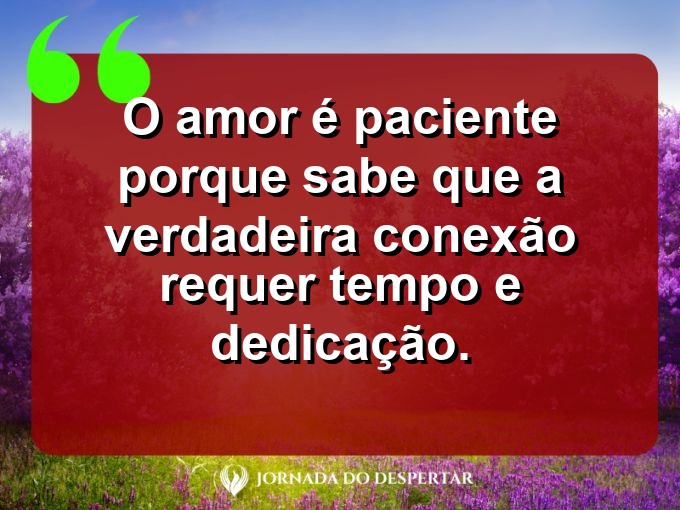 Provérbios sobre a paciência no amor: O amor é paciente porque sabe que a verdadeira conexão requer tempo e dedicação.