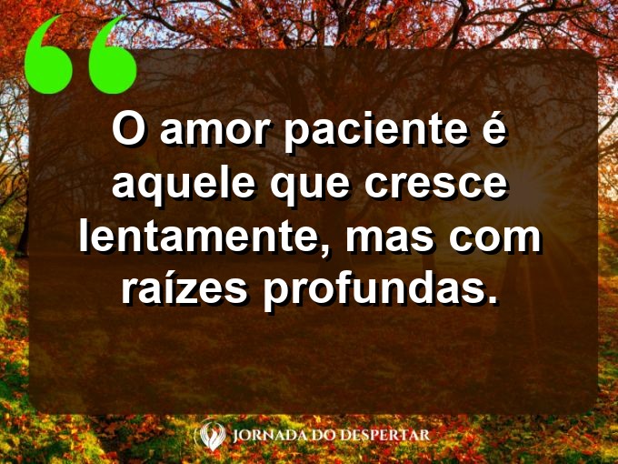 Reflexões sobre o amor paciente: O amor paciente é aquele que cresce lentamente, mas com raízes profundas.