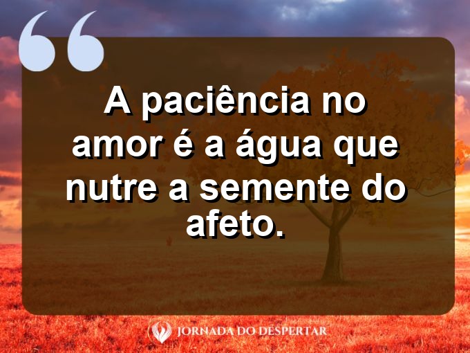 Sentimentos sobre a paciência no amor: A paciência no amor é a água que nutre a semente do afeto.