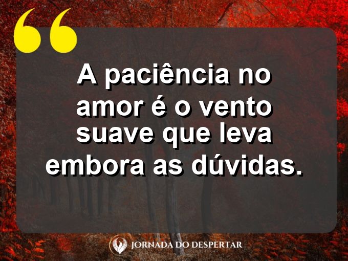 Sentimentos sobre a paciência no amor: A paciência no amor é o vento suave que leva embora as dúvidas.