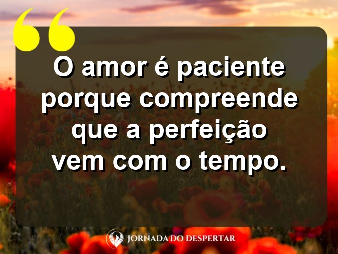 Sentimentos sobre a paciência no amor: O amor é paciente porque compreende que a perfeição vem com o tempo.