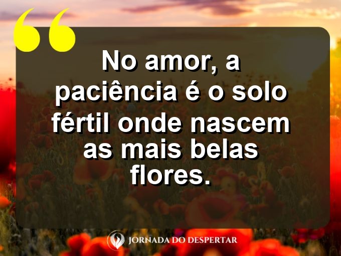 Sentimentos sobre a paciência no amor: No amor, a paciência é o solo fértil onde nascem as mais belas flores.